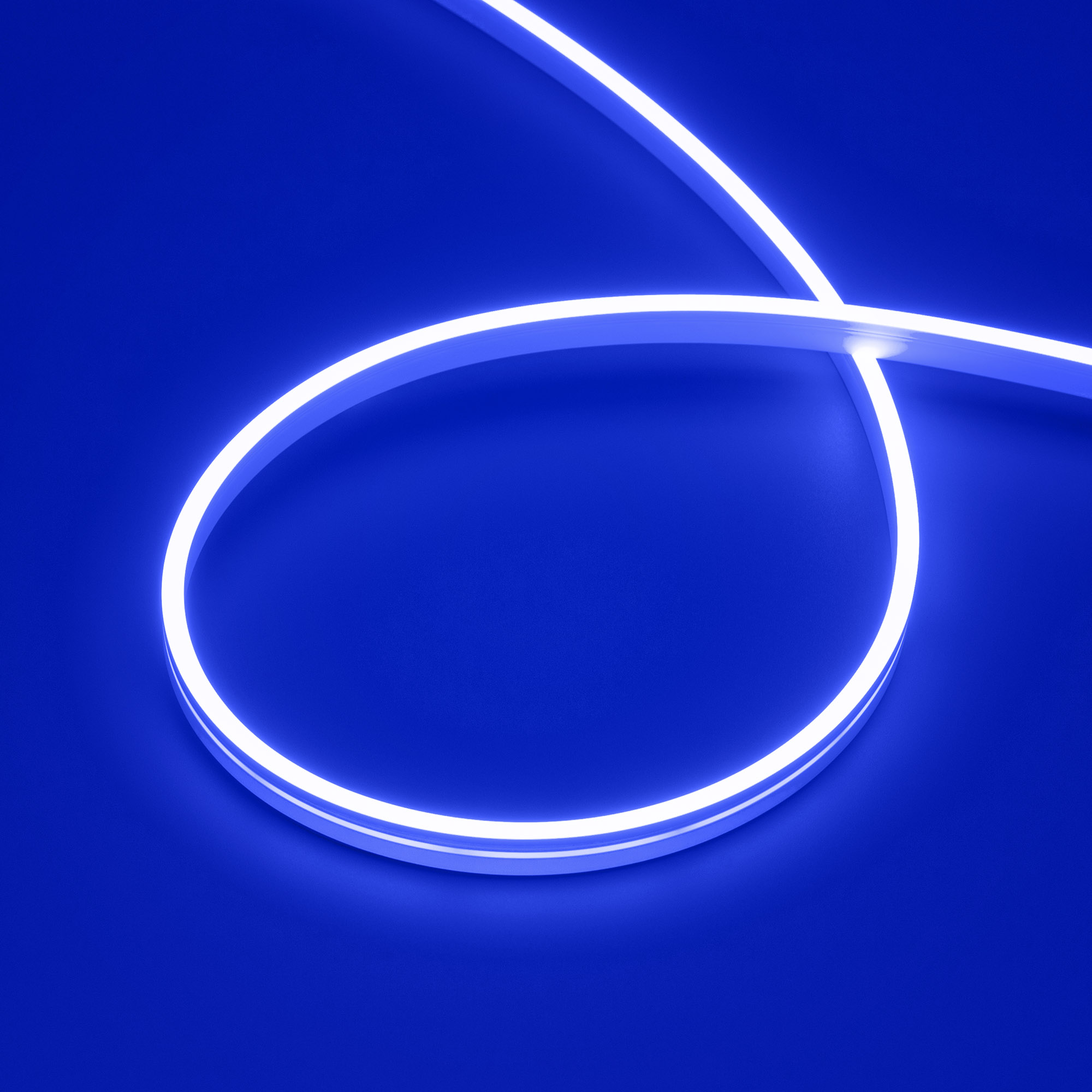 031013-7_Blue.jpg
