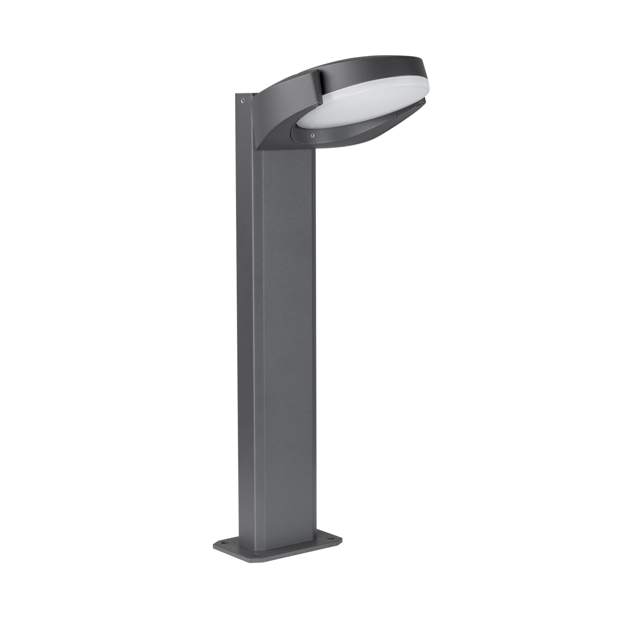 029982-1.jpg