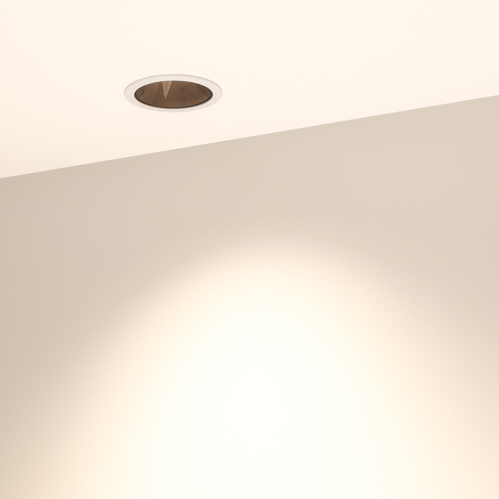 033652-8_Warm.jpg