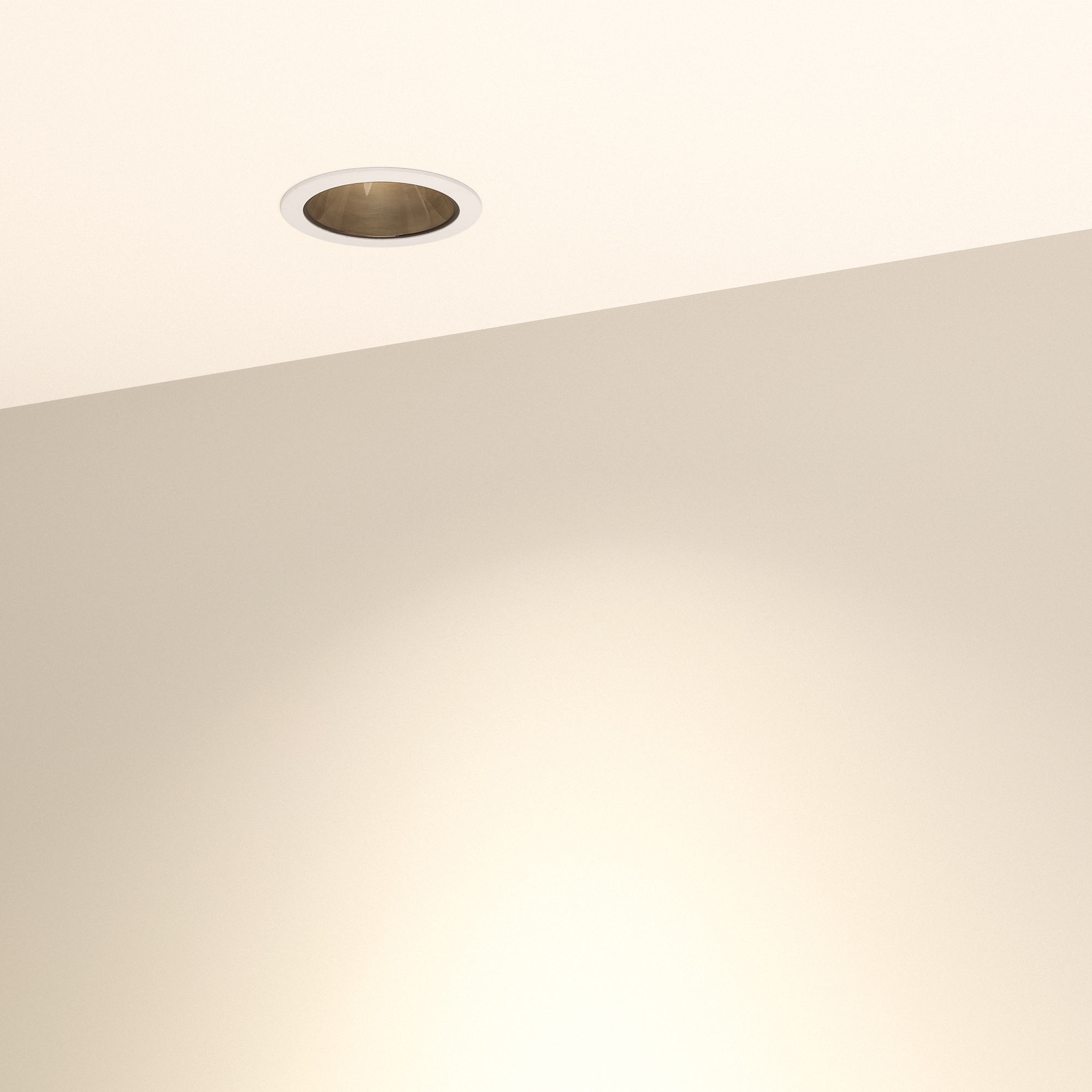 033651-8_Warm.jpg