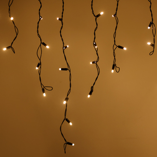 026013-2_m.jpg