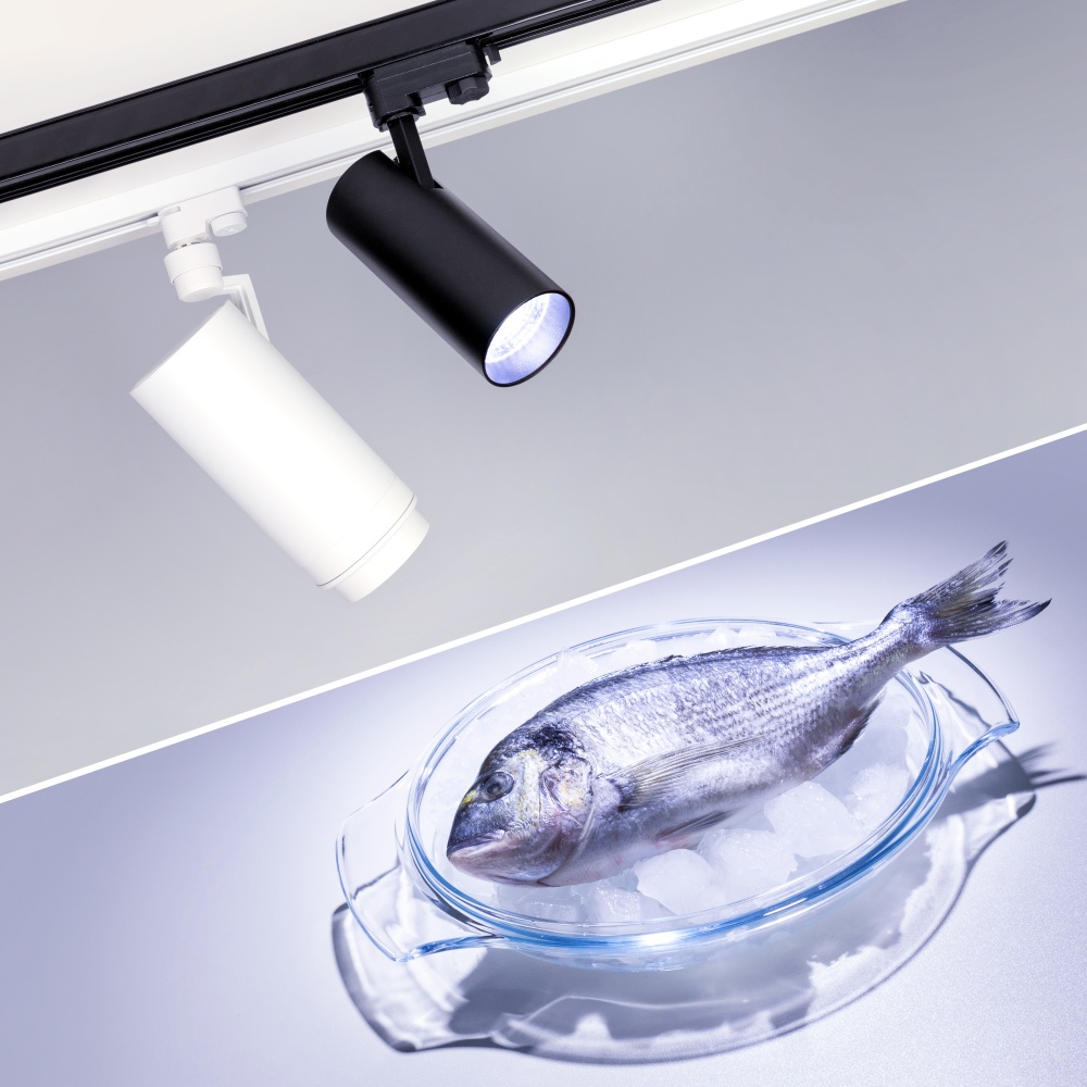 032467-fish.jpg